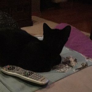 Meet your Posher, Jill